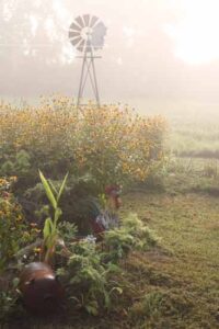 Our Life is Real Life Image